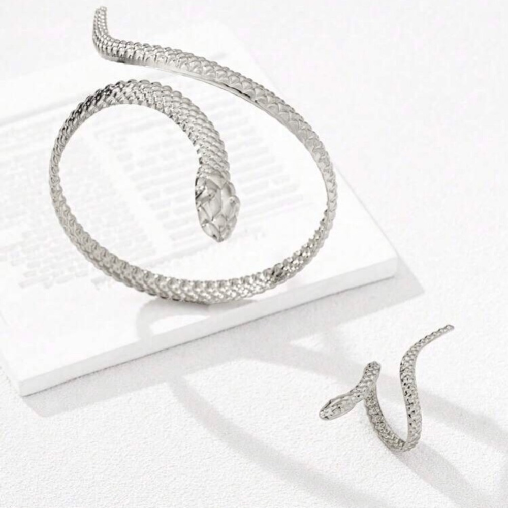Silver Snake Bracelet and Ring Set - Picture 2 of 3
